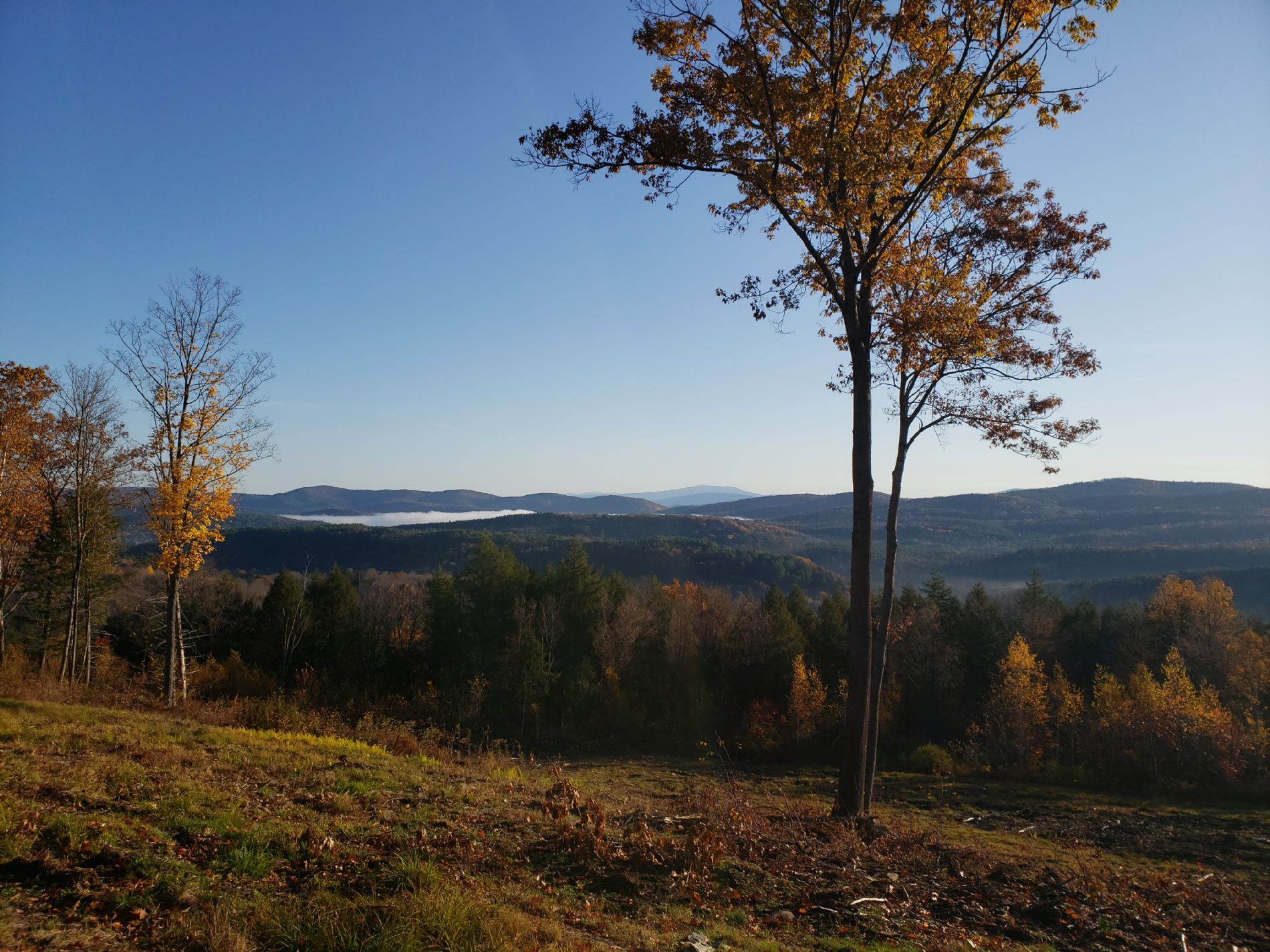 Hanover Vt An amazing property 5 miles to I91 and 17 miles to Hanover - 203 Pero ...