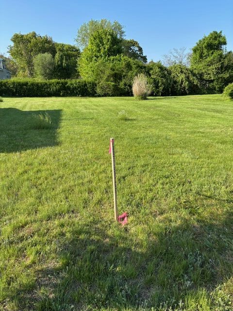 Photo from the West corner of the property looking north