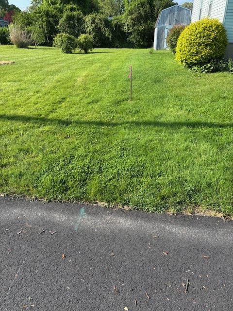Photo looking north along East property line