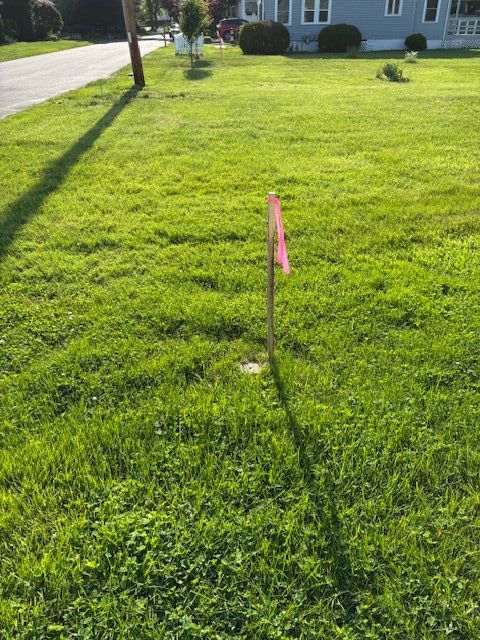 Photo of 75' property line along Grove Avenue looking west 