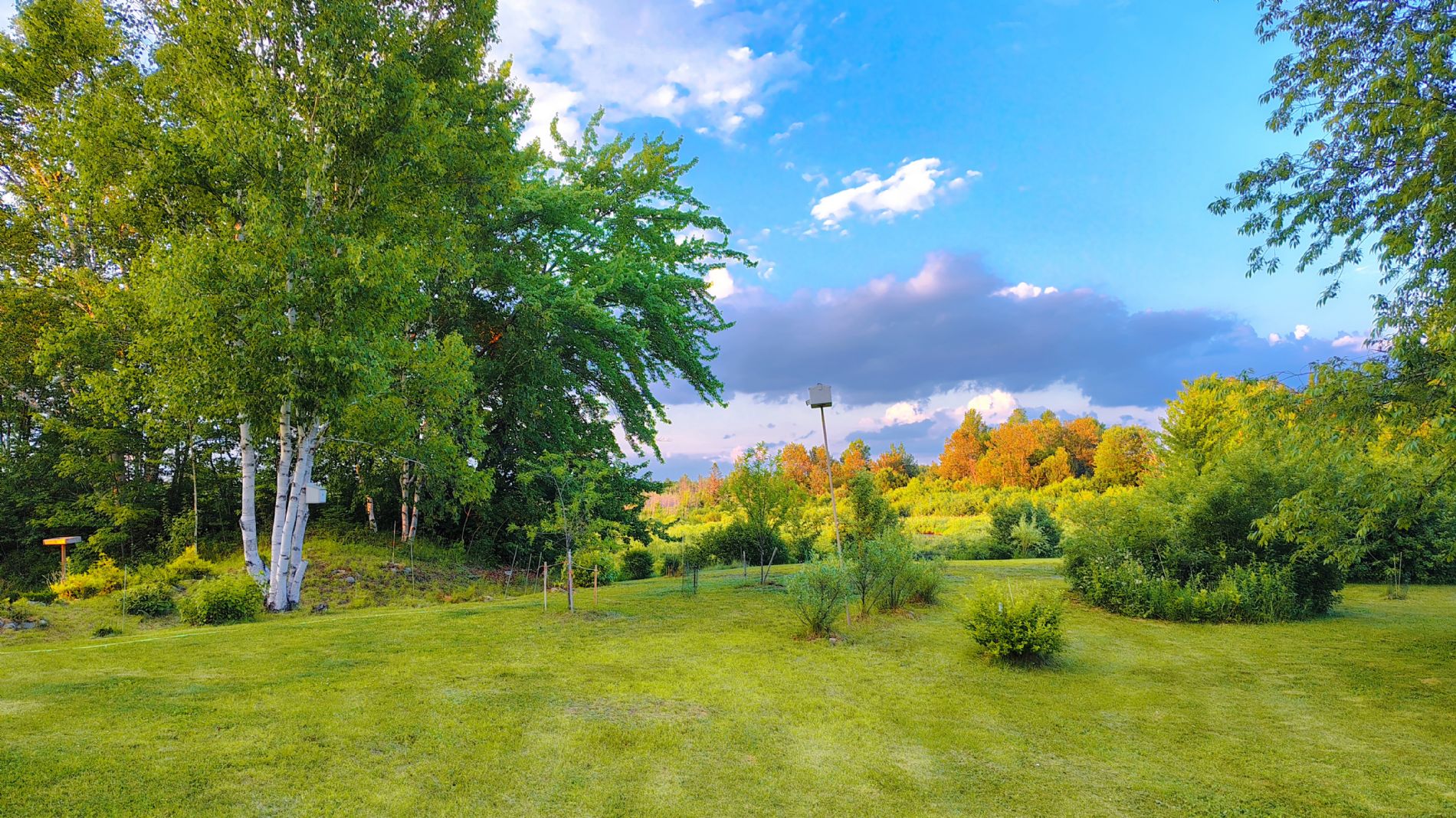 front yard along the road