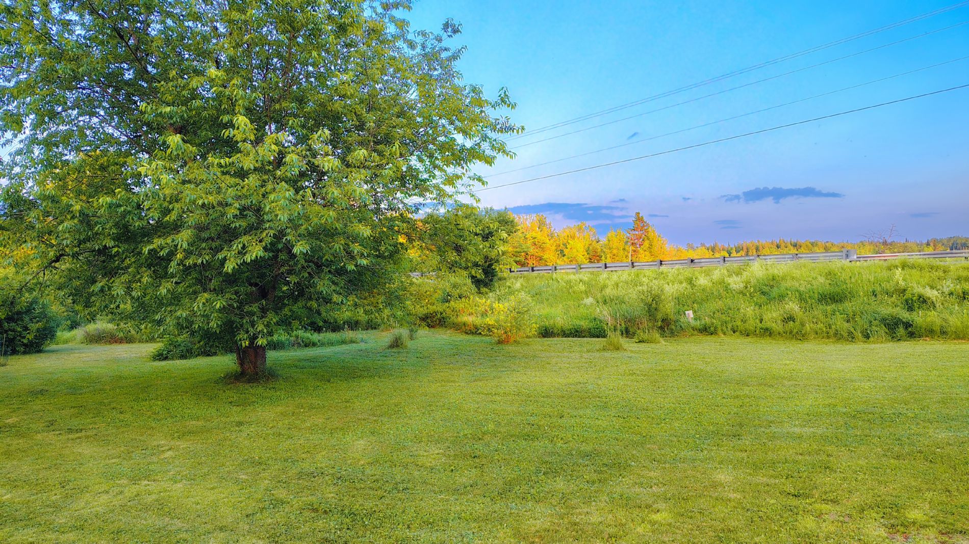 front yard along the road