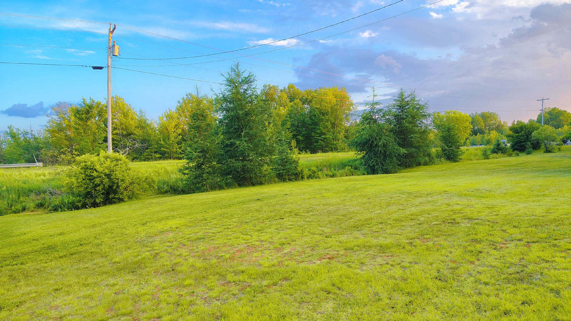 front yard along the road