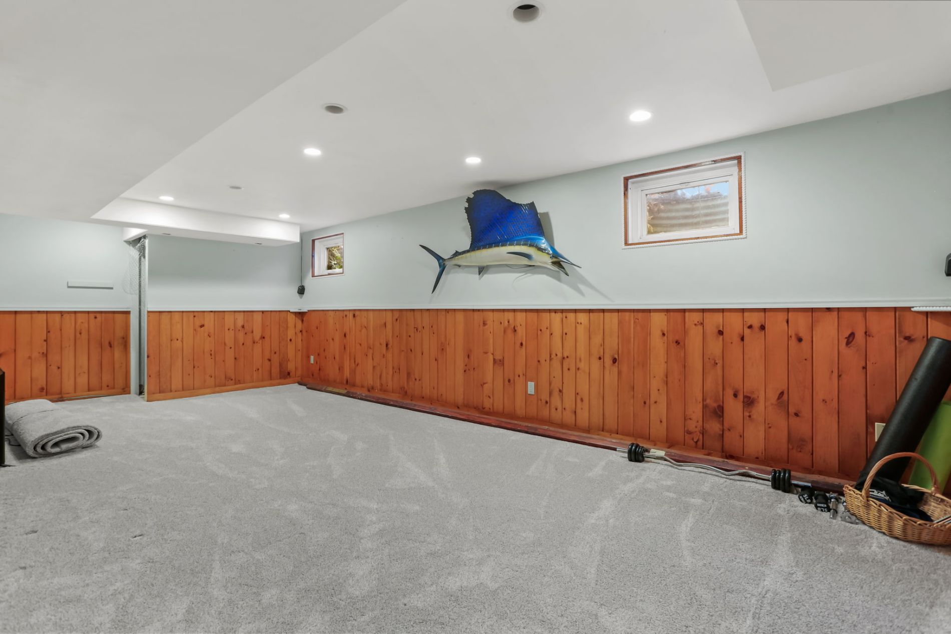 Family Room Basement