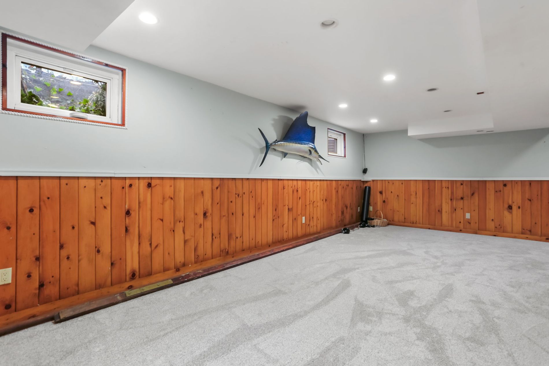 Basement Family room