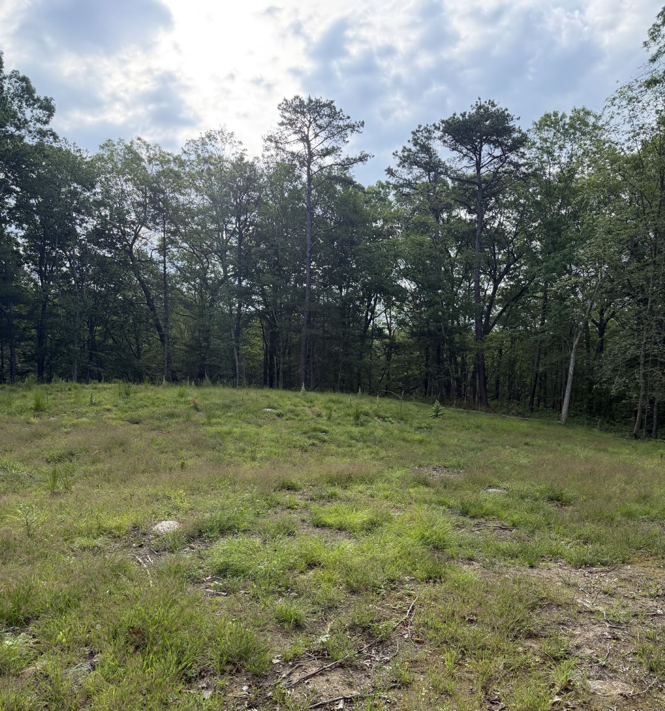 Lot View