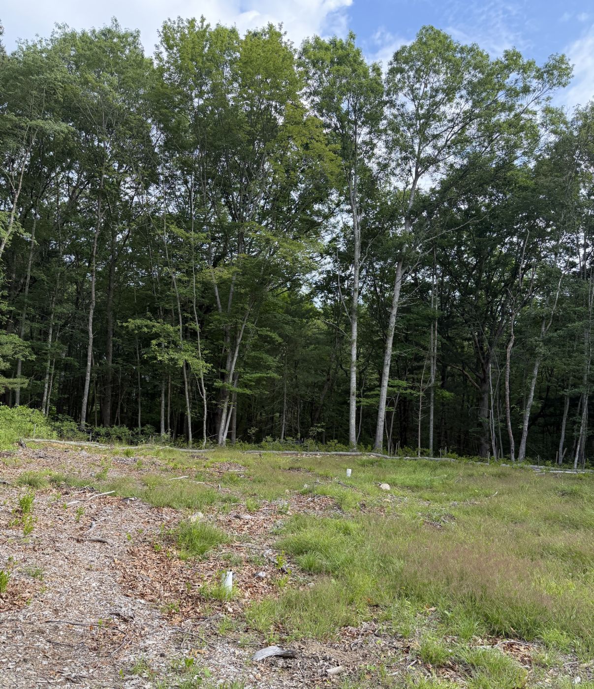 Lot View